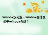 winbox漢化版（winbox是什么 關(guān)于winbox介紹）