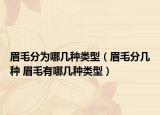 眉毛分為哪幾種類型（眉毛分幾種 眉毛有哪幾種類型）