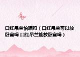 口紅吊蘭怕曬嗎（口紅吊蘭可以放臥室嗎 口紅吊蘭能放臥室嗎）