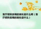 客廳瓷磚美縫的害處是什么呢（客廳瓷磚美縫的害處是什么）