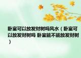 臥室可以放發(fā)財樹嗎風(fēng)水（臥室可以放發(fā)財樹嗎 臥室能不能放發(fā)財樹）