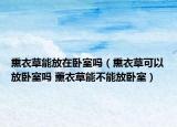 熏衣草能放在臥室嗎（熏衣草可以放臥室嗎 薰衣草能不能放臥室）