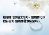 珊瑚棒可以曬太陽嗎（珊瑚棒可以放臥室嗎 珊瑚棒能放臥室嗎）