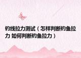 釣線拉力測試（怎樣判斷釣魚拉力 如何判斷釣魚拉力）