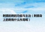 刺猬的刺的功能與主治（刺猬身上的刺有什么作用呢）