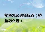 鱸魚怎么選擇標(biāo)點(diǎn)（鱸魚怎么選）