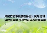 鳳尾竹能不能放在臥室（鳳尾竹可以放臥室嗎 鳳尾竹可以養(yǎng)在臥室嗎）