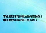 羊肚菌放冰箱冷藏還是冷凍保存（羊肚菌放冰箱冷藏還是冷凍）