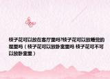 枝子花可以放在客廳里嗎?枝子花可以放睡覺的屋里嗎（枝子花可以放臥室里嗎 枝子花可不可以放臥室里）