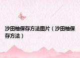 沙田柚保存方法圖片（沙田柚保存方法）