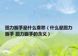扭力扳手是什么意思（什么是扭力扳手 扭力扳手的含義）