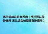 吊蘭能放在臥室養(yǎng)嗎（吊蘭可以放臥室嗎 吊蘭適合長期放在臥室嗎）