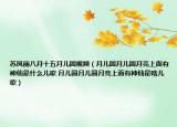 蘇鳳麗八月十五月兒圓視頻（月兒圓月兒圓月亮上面有神仙是什么兒歌 月兒圓月兒圓月亮上面有神仙是啥兒歌）