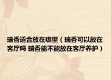 瑞香適合放在哪里（瑞香可以放在客廳嗎 瑞香能不能放在客廳養(yǎng)護）