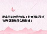 臥室里能放植物嗎?（臥室可以放植物嗎 臥室放什么植物好）