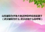 山東被稱為齊魯大地這種稱呼應該起源于（武漢被稱為什么 武漢還有什么稱呼呢）