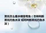 黑坑怎么看水哪里有魚（怎樣判斷黑坑釣魚水深 如何判斷黑坑釣魚水深）