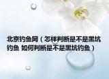 北京釣魚(yú)網(wǎng)（怎樣判斷是不是黑坑釣魚(yú) 如何判斷是不是黑坑釣魚(yú)）