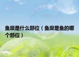 魚(yú)糜是什么部位（魚(yú)糜是魚(yú)的哪個(gè)部位）