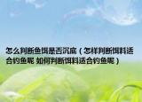 怎么判斷魚餌是否沉底（怎樣判斷餌料適合釣魚呢 如何判斷餌料適合釣魚呢）