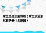 家里全是灰塵飄著（家里灰塵絮狀物多是什么原因）