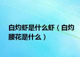 白灼蝦是什么蝦（白灼腰花是什么）