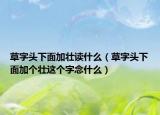草字頭下面加壯讀什么（草字頭下面加個壯這個字念什么）