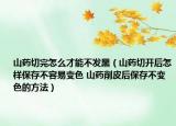 山藥切完怎么才能不發(fā)黑（山藥切開后怎樣保存不容易變色 山藥削皮后保存不變色的方法）