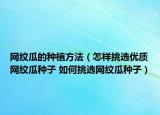 網(wǎng)紋瓜的種植方法（怎樣挑選優(yōu)質(zhì)網(wǎng)紋瓜種子 如何挑選網(wǎng)紋瓜種子）