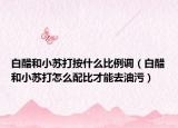 白醋和小蘇打按什么比例調(diào)（白醋和小蘇打怎么配比才能去油污）
