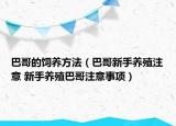 巴哥的飼養(yǎng)方法（巴哥新手養(yǎng)殖注意 新手養(yǎng)殖巴哥注意事項）