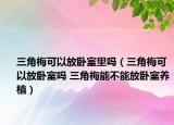 三角梅可以放臥室里嗎（三角梅可以放臥室嗎 三角梅能不能放臥室養(yǎng)植）