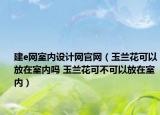 建e網室內設計網官網（玉蘭花可以放在室內嗎 玉蘭花可不可以放在室內）