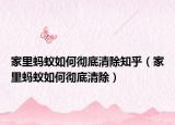 家里螞蟻如何徹底清除知乎（家里螞蟻如何徹底清除）