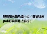 野貓馴養(yǎng)魏承澤小說(shuō)（野貓馴養(yǎng)poh野貓馴養(yǎng)法解析）