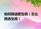 如何挑選肥生蠔（怎么挑選生蠔）