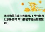 吊竹梅養(yǎng)在室內(nèi)有毒嗎?（吊竹梅可以放臥室嗎 吊竹梅能不能放臥室里呢）