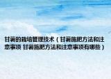 甘薯的栽培管理技術（甘薯施肥方法和注意事項 甘薯施肥方法和注意事項有哪些）