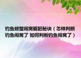 釣魚螃蟹鬧窩驅(qū)趕秘訣（怎樣判斷釣魚鬧窩了 如何判斷釣魚鬧窩了）