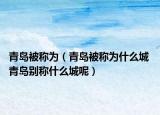 青島被稱為（青島被稱為什么城 青島別稱什么城呢）