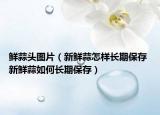 鮮蒜頭圖片（新鮮蒜怎樣長(zhǎng)期保存 新鮮蒜如何長(zhǎng)期保存）