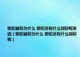 駱駝被稱為什么 駱駝還有什么別稱呢英語（駱駝被稱為什么 駱駝還有什么別稱呢）