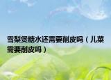 雪梨煲糖水還需要削皮嗎（兒菜需要削皮嗎）