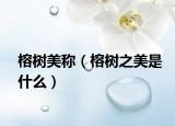榕樹(shù)美稱(chēng)（榕樹(shù)之美是什么）