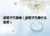 送橙子代表啥（送橙子代表什么意思）