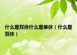 什么是雙休什么是單休（什么是雙休）