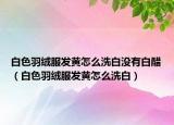 白色羽絨服發(fā)黃怎么洗白沒有白醋（白色羽絨服發(fā)黃怎么洗白）