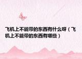 飛機(jī)上不能帶的東西有什么呀（飛機(jī)上不能帶的東西有哪些）