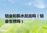 鋁會(huì)和氨水反應(yīng)嗎（鋁會(huì)生銹嗎）