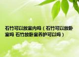 石竹可以放室內(nèi)嗎（石竹可以放臥室嗎 石竹放臥室養(yǎng)護(hù)可以嗎）